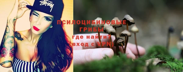 гашик Абдулино